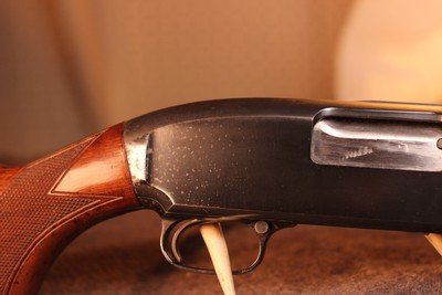 Winchester Model 12 factory Trap Grade .12Ga - Image 11 of 15