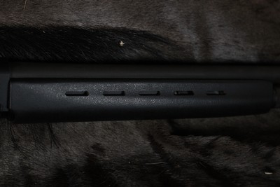 Franchi Law 12Ga Semi-Auto - Image 5 of 11