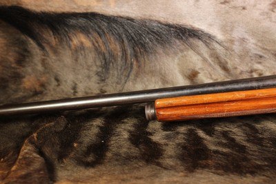 Browning A5 First Series - .12 - Image 9 of 10