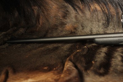 Remington 700SPS - 7mm Rem Mag - Image 9 of 9
