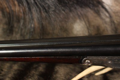 Parker VH - .16 - Image 6 of 14