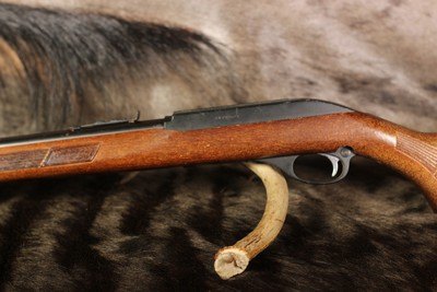 Glenfield/Marlin 60 - .22 LR - Image 9 of 13