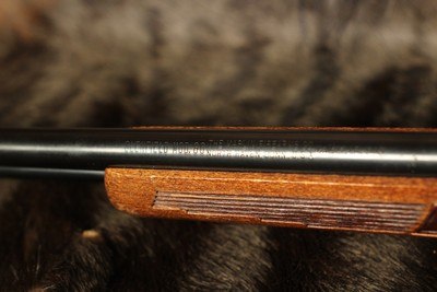 Glenfield/Marlin 60 - .22 LR - Image 12 of 13