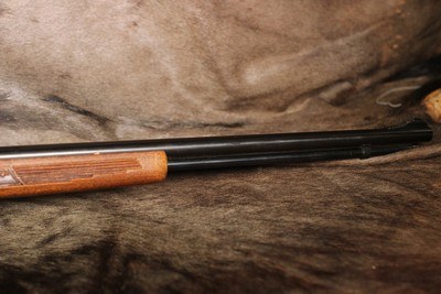 Glenfield/Marlin 60 - .22 LR - Image 6 of 13