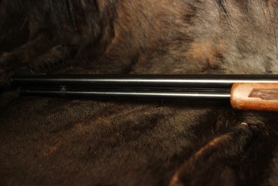 Glenfield/Marlin 60 - .22 LR - Image 11 of 13
