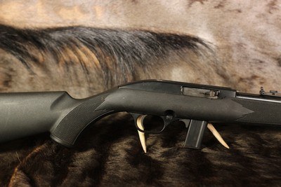 Mossberg 702 Plinkster - .22 LR - Image 1 of 9