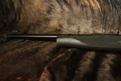 Mossberg 702 Plinkster - .22 LR - Image 9 of 9