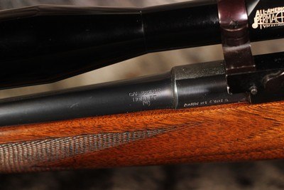 Springfield 1903 Sedgley Custom Sporter- .22 Hornet - Image 15 of 20