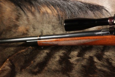Springfield 1903 Sedgley Custom Sporter- .22 Hornet - Image 16 of 20
