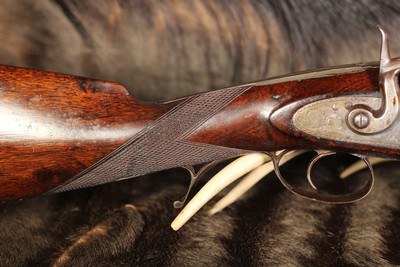 Hollis and Sons Percussion Muzzleloading 8 Bore Single Shot Elephant Rifle - 8 Bore - Image 22 of 25