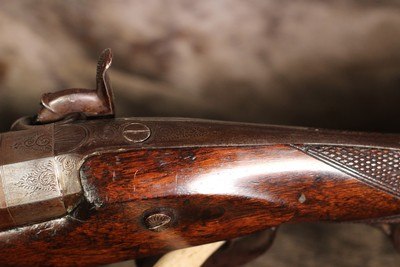 Hollis and Sons Percussion Muzzleloading 8 Bore Single Shot Elephant Rifle - 8 Bore - Image 7 of 25