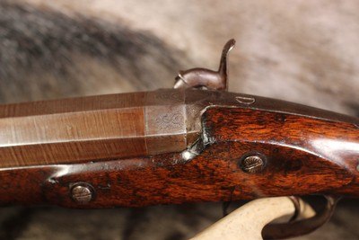 Hollis and Sons Percussion Muzzleloading 8 Bore Single Shot Elephant Rifle - 8 Bore - Image 5 of 25
