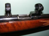 Anschutz Model 1717 Bolt Action .17 HMR - 12 of 15