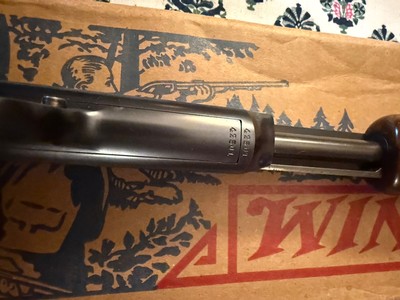 Winchester 61 short only - Image 11 of 15