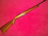 Winchester Model 100 Carbine in 243 Cal. - 1 of 6