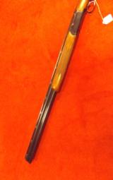 RUGER RED LABEL20 GA.- 6 of 6