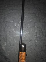 Kimber rimfire - 7 of 7