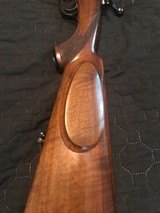 Styer Zephyr - 7 of 9