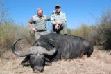 Cape buffalo package (South Africa): 7 days all inclusive