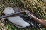 J&W Tolley 10-Gauge Waterfowler, High Condition, Mfg. in the UK circa 1866-1870