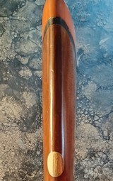 MIDLAND Gun Company of Birmingham Engraved 410 Side X Side Shotgun with Great Dimensions - 5 of 15