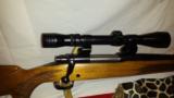 Winchester Model 70 Sporter Rifle - 6 of 6