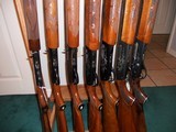 Private Collection of Remington Shotguns - Model 1100 - 3 of 3