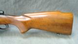 Winchester Model 70 Standard Grade Rare .22 Hornet - 6 of 12