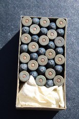 Winchester 44 X.L. Shot Cartridges - Image 2 of 7
