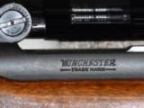 Winchester Pre-64 Model 70 .375 H&H - 9 of 11