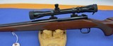Winchester Model 70 Sporter Varmint 22-250 - 4 of 12