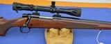 Winchester Model 70 Sporter Varmint 22-250 - 7 of 12