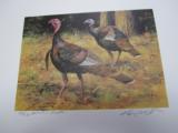 1986 Arkansas Wild Turkey Stamp and Print, Artist's Proof - 1 of 1