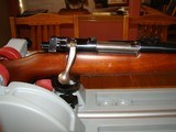 Custom Mauser action .22-250 Heavy Barrel, Timney trigger - 4 of 15