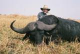 Zambia Buffalo Hunt - 1 of 1