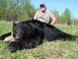 Black Bear, Alberta, Canada - 3 of 3