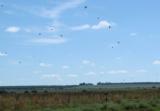 Dove Hunting in Argentina