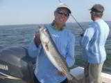Fishing Guide, Inshore, Sarasota Bay, Tampa Bay - 2 of 2