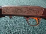 Browning Auto 22LR - 9 of 11