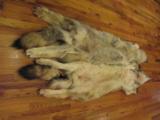 Wolf Skins - 12 of 12