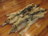 Wolf Skins - 2 of 12