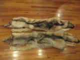 Wolf Skins - 4 of 12