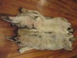 Wolf Skins - 11 of 12