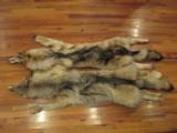 Wolf Skins - 3 of 12