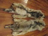 Wolf Skins - 7 of 12