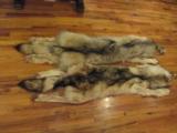 Wolf Skins - 6 of 12