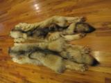 Wolf Skins - 5 of 12