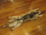 Wolf Skins - 1 of 12