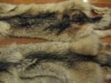 Wolf Skins - 8 of 12