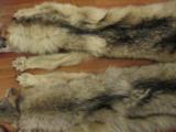 Wolf Skins - 9 of 12